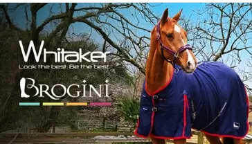 Rabaty do -56% na markę Whitaker i Brogini w Private Sport Shop